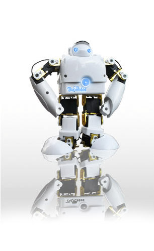 World's smallest humanoid robot called BeRobot.